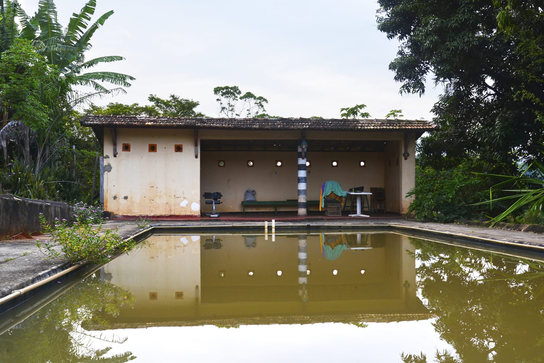 Rochelle Costi, Cao's Place, 2018