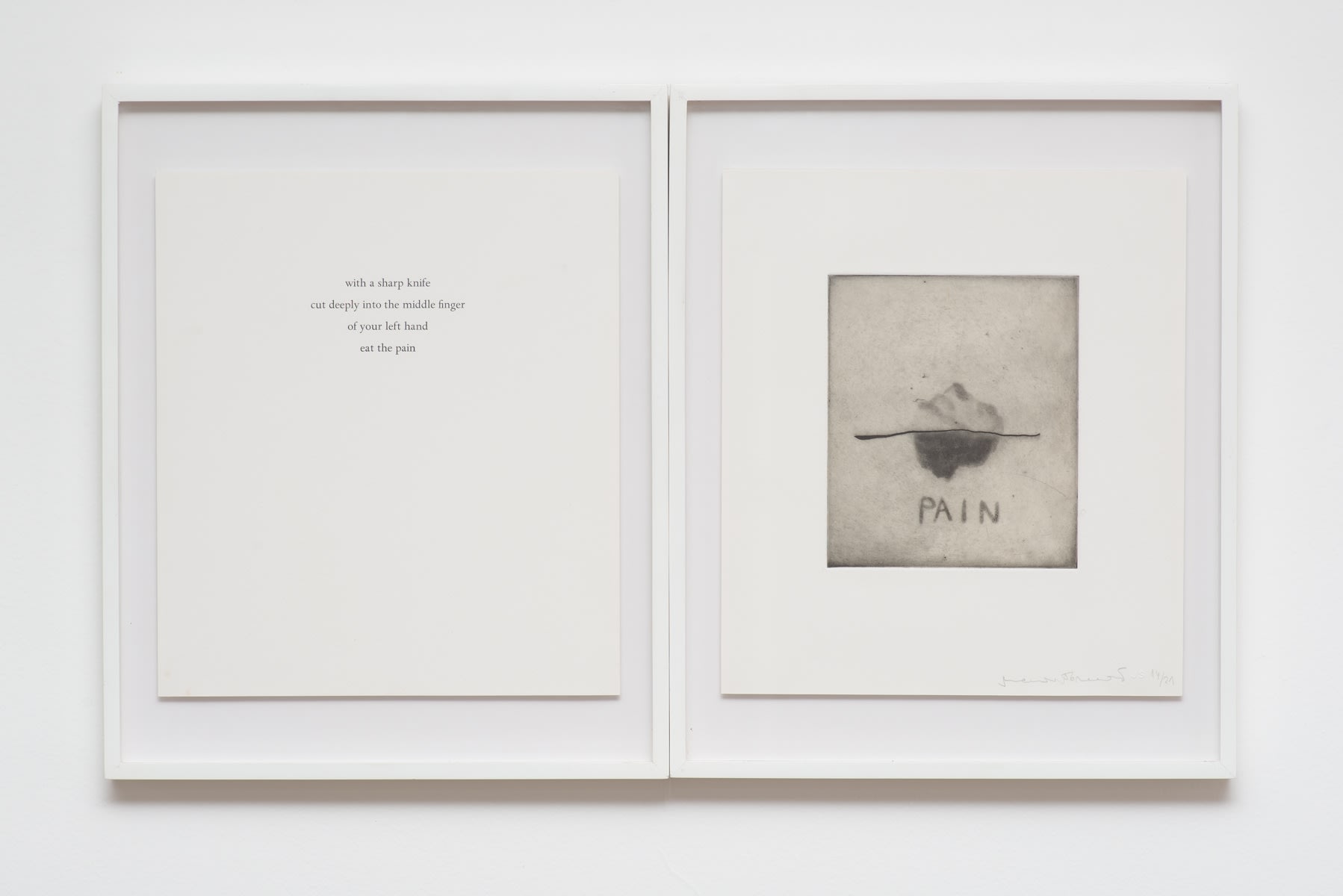 Marina Abramovic, Spirit Cooking , 1996