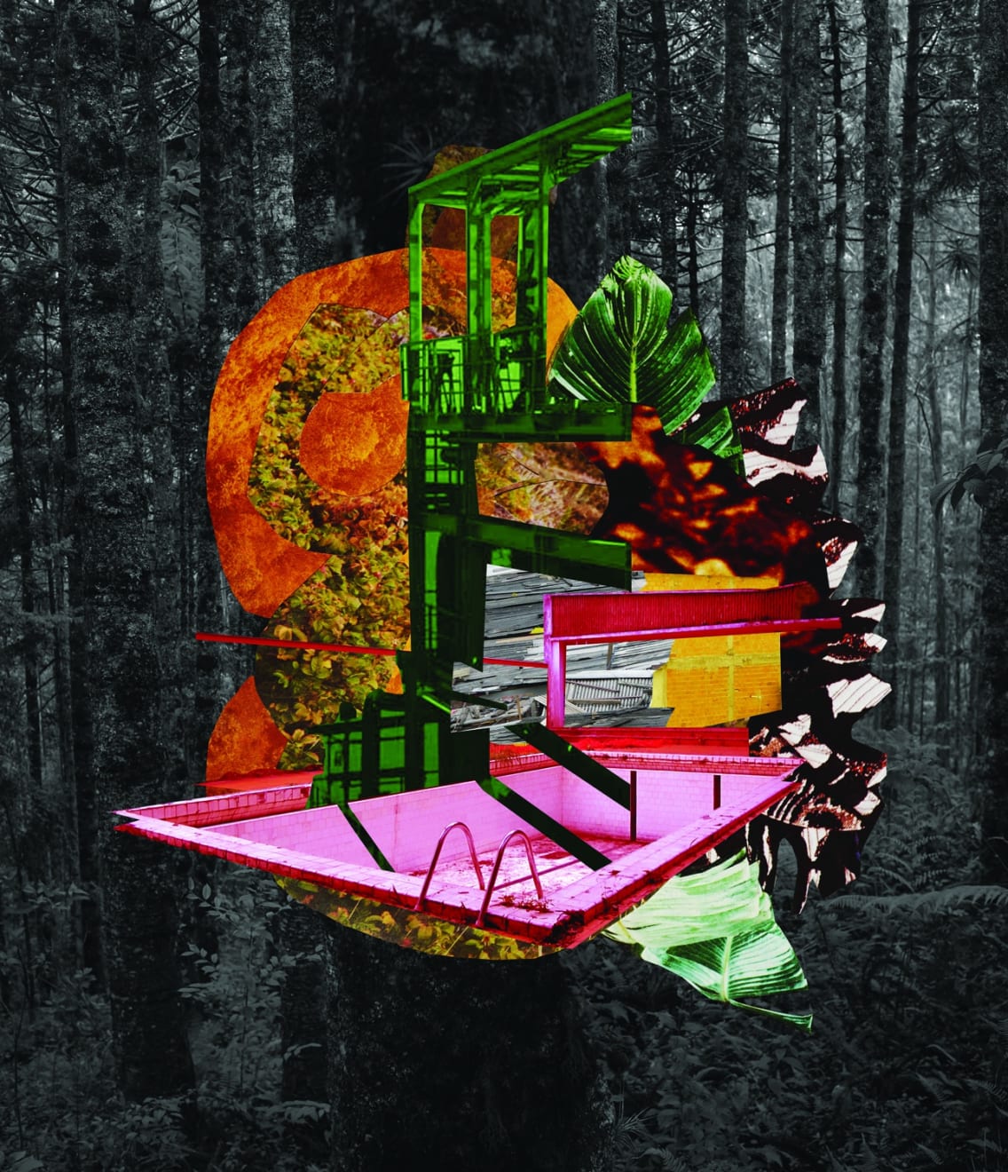 Caio Reisewitz, Votuporanga, 2015