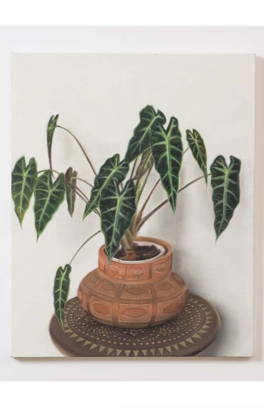 Rafael Carneiro, Sem Título, 2015