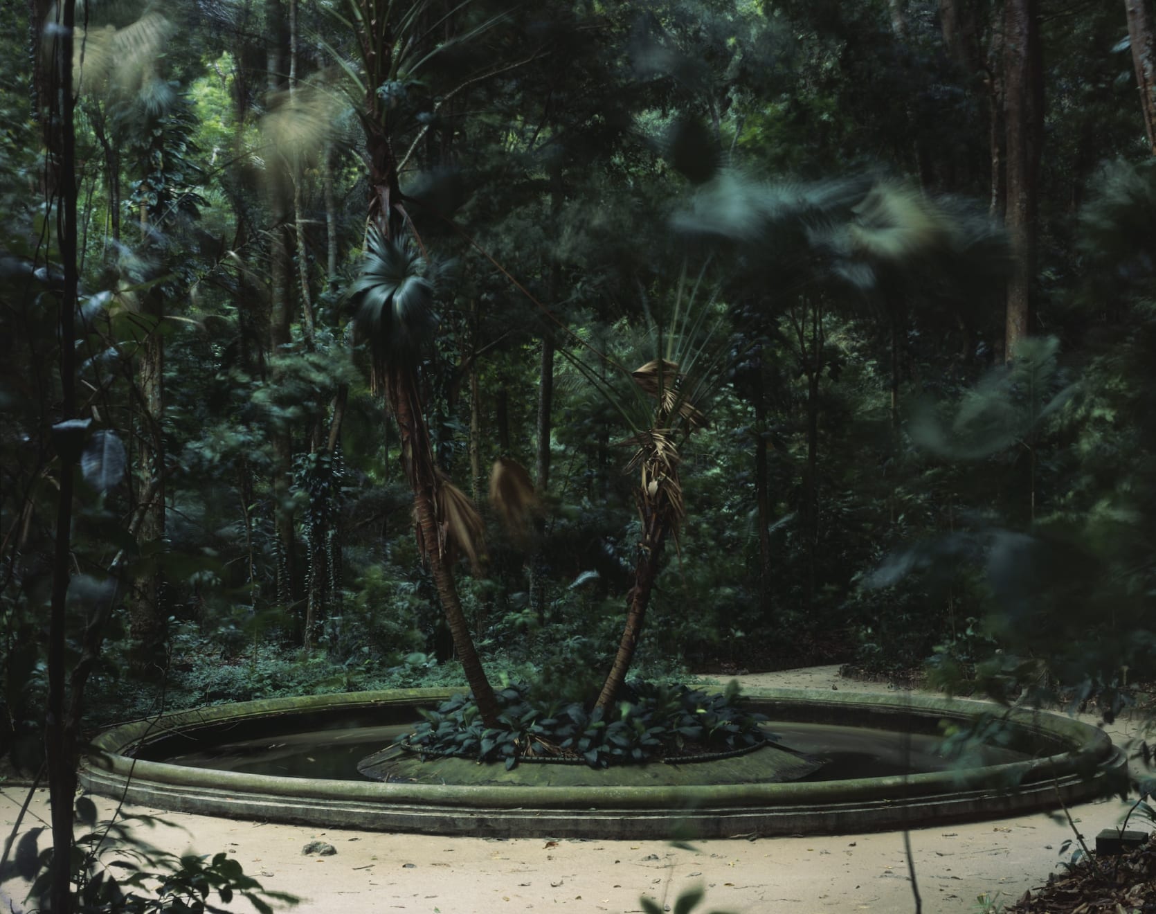 Caio Reisewitz, Hausverlassung, 2015