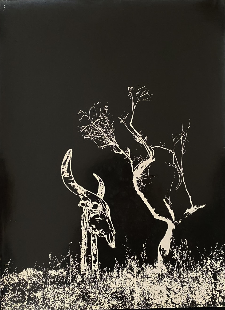 Paulo Pires, Crendices, 1962