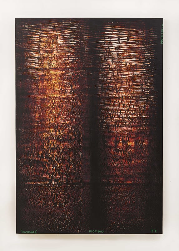 Tiago Tebet, FuckYouAll, 2017