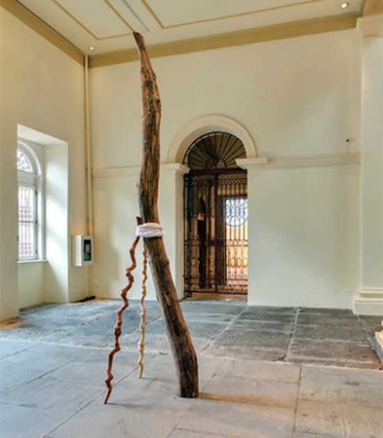 Afonso Tostes, Exhibition view ¨Tronco¨, 2013