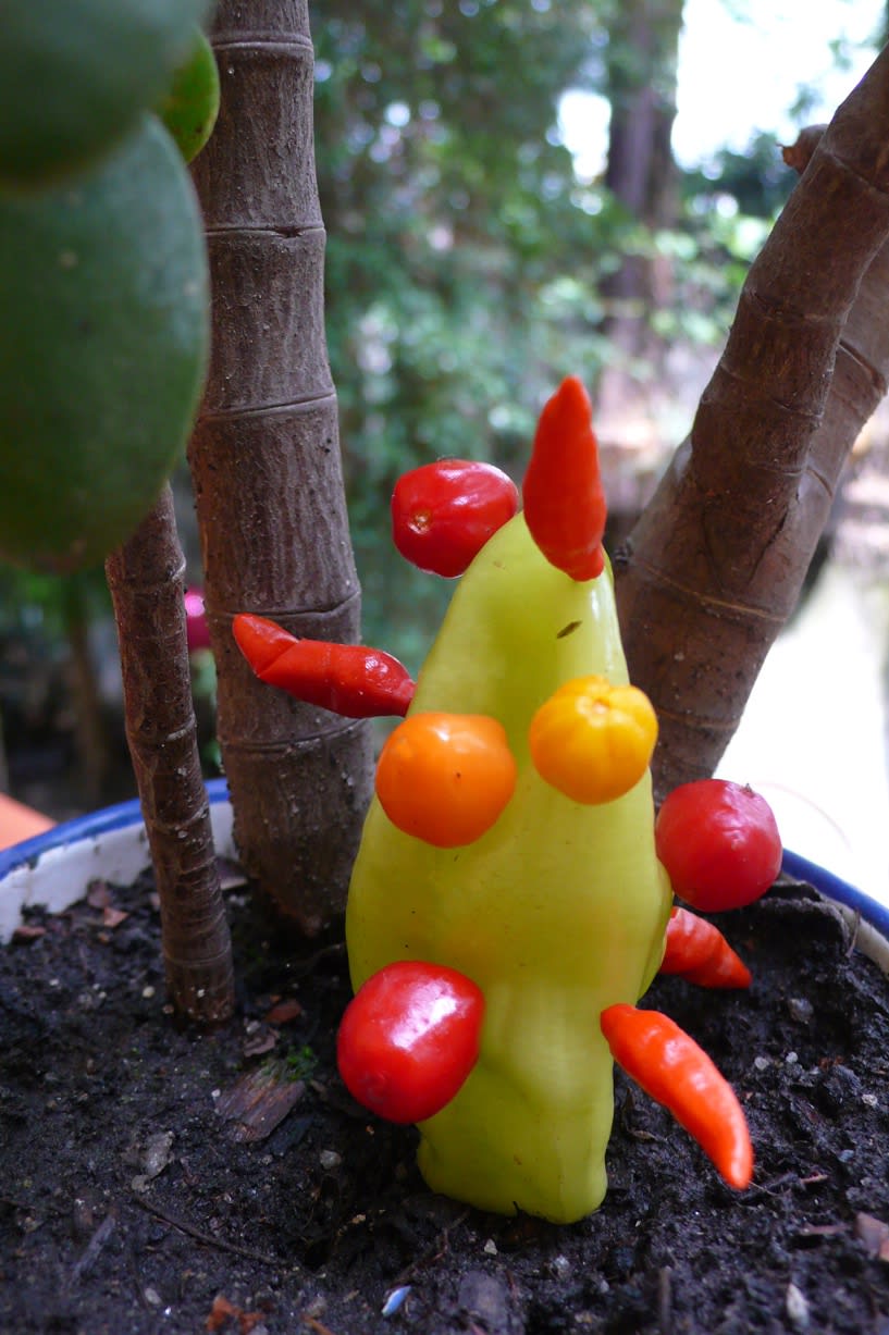 Rochelle Costi, “Cactus”, 2008