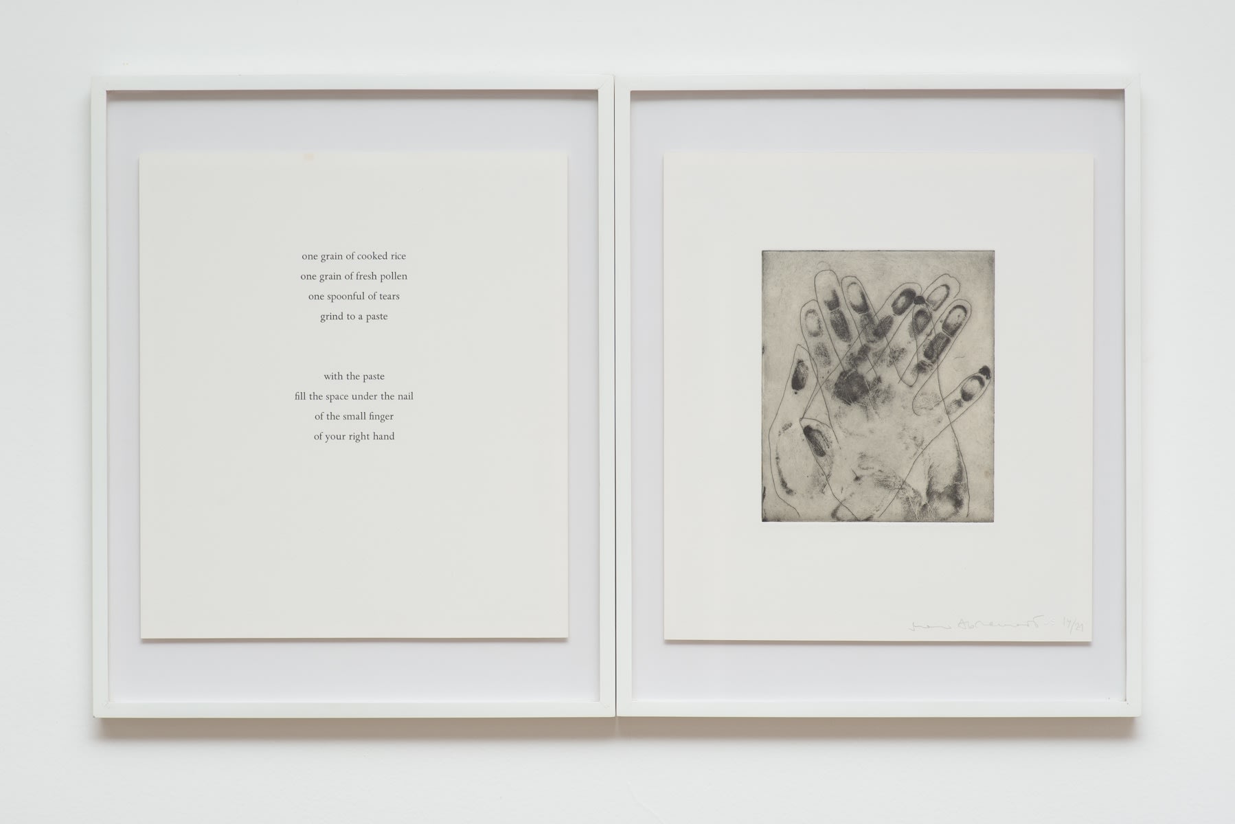 Marina Abramovic, Spirit Cooking , 1996
