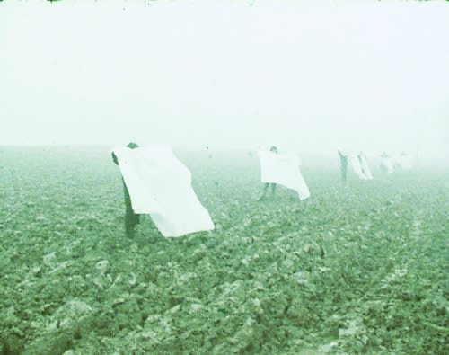 Anthony McCall, ¨Landscapes for White Squares¨, 1972