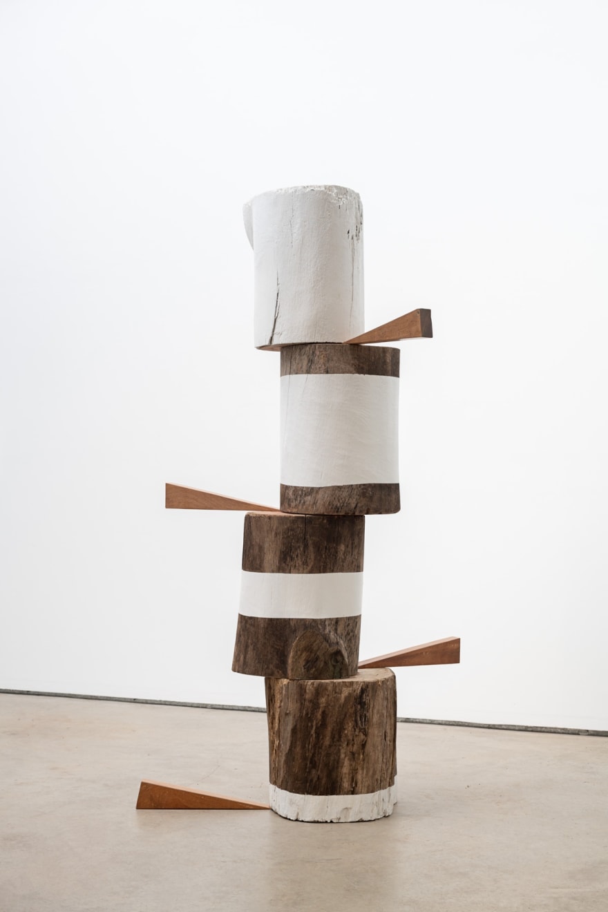 Afonso Tostes, Sem título | Untitled, 2023