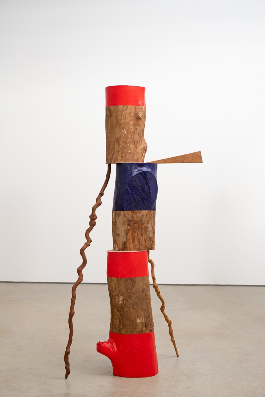 Afonso Tostes, Sem título | Untitled, 2023