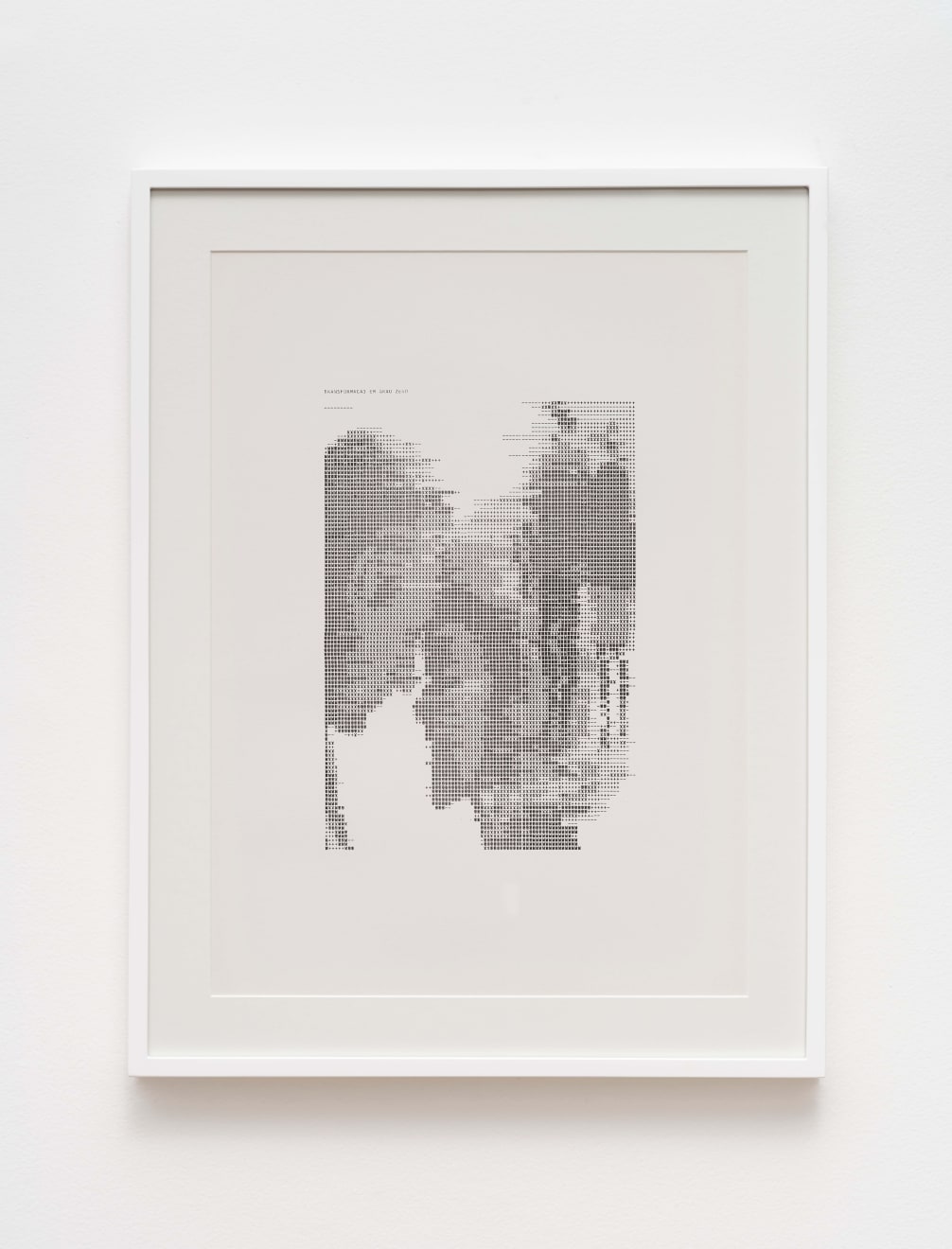 Waldemar Cordeiro, “Derivadas de uma imagem: Transformação em Grau 0”, 1969
