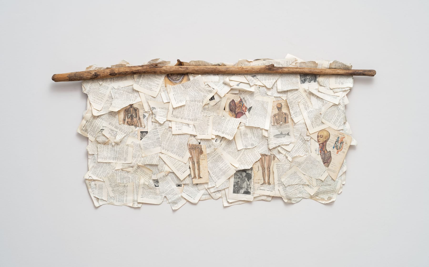 Afonso Tostes, ¨Pessoas¨, 2023