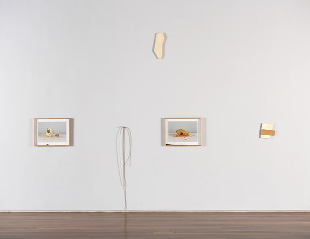 Pablo Lobato, vista da exposição 