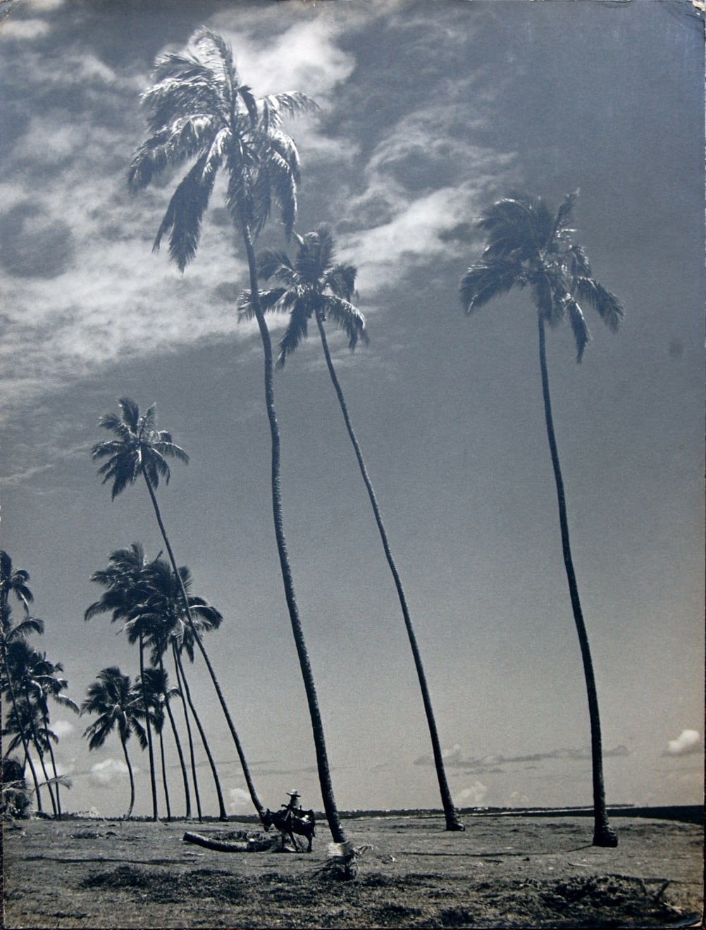 Gaspar Gasparian, ¨Visão Nordestina¨, c. 1948