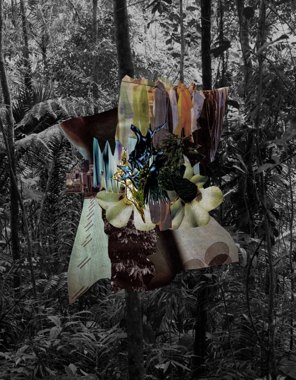 Caio Reisewitz, 