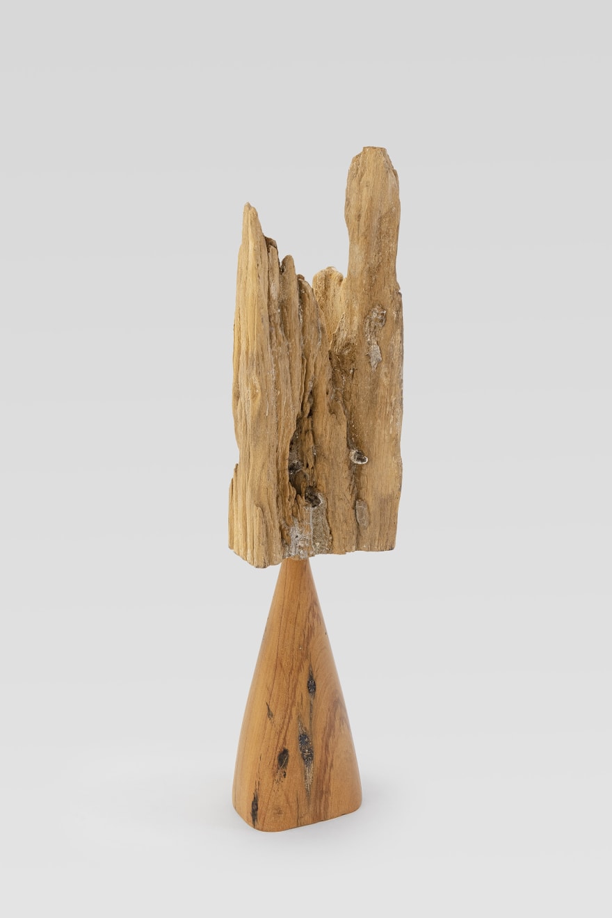 Afonso Tostes, Sem título | Untitled, 2021