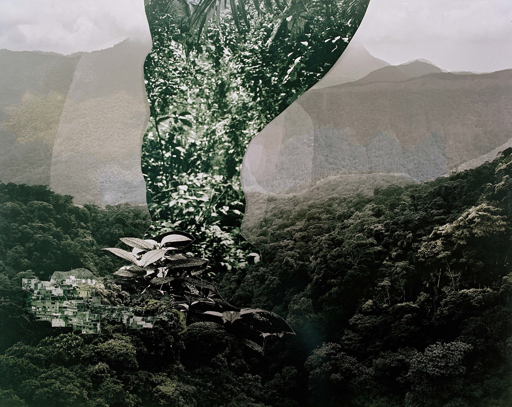 Caio Reisewitz, Curahy, 2009