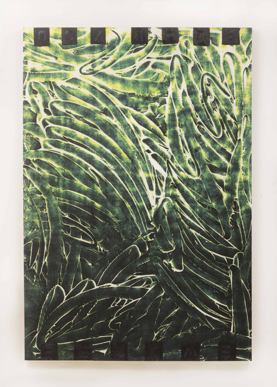 Tiago Tebet, fuckme vs fuckyou, 2017