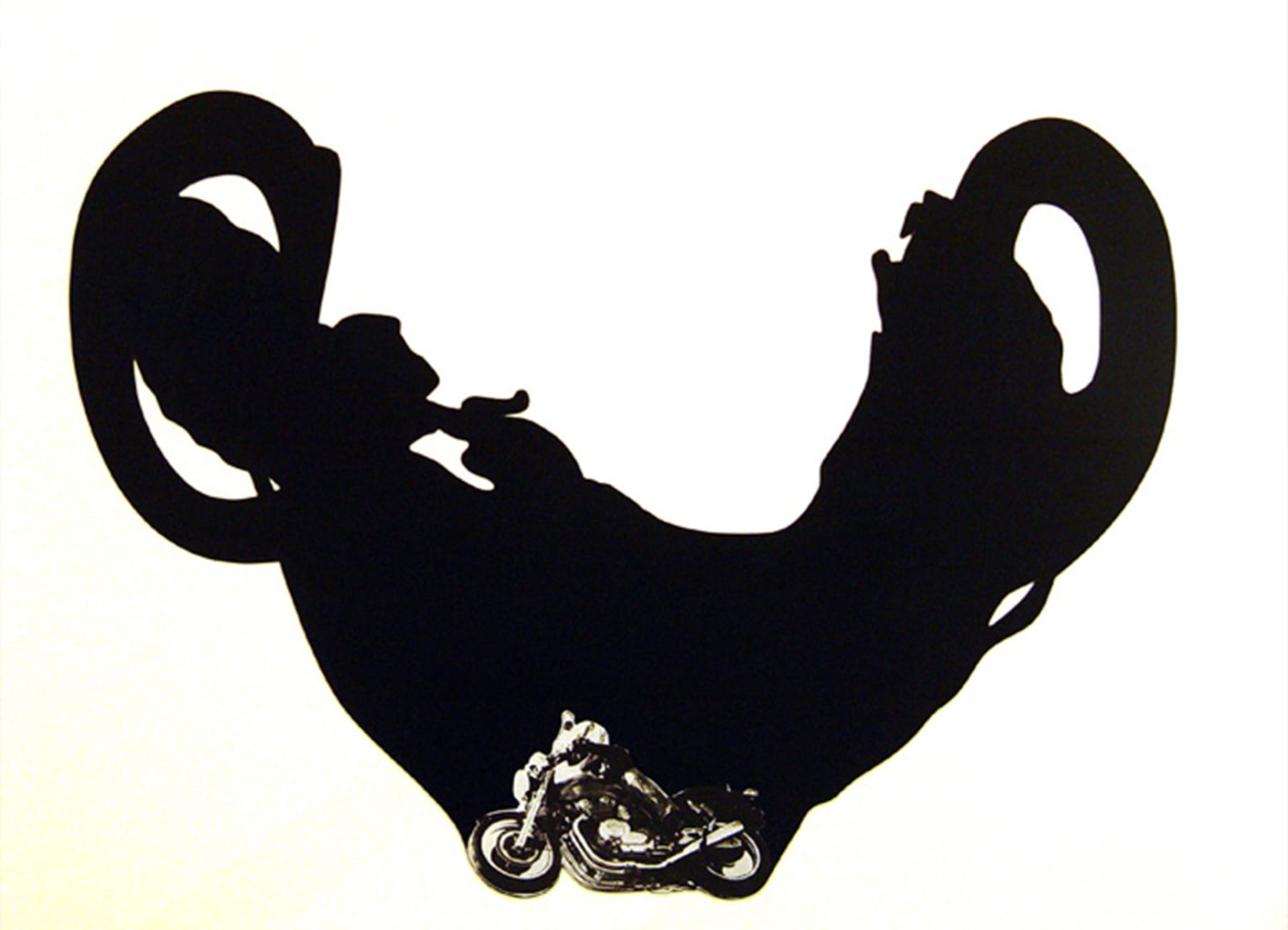Regina Silveira,