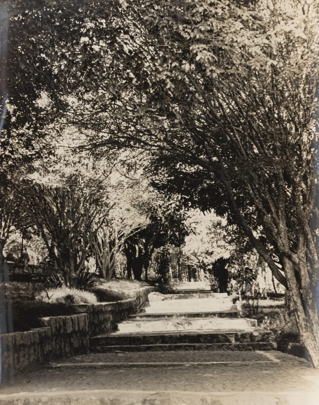 Gertrudes Altschul, Sem título, c.1950