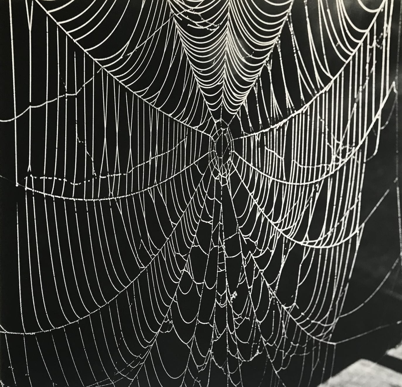 Gertrudes Altschul, Teia, c. 1950/2020