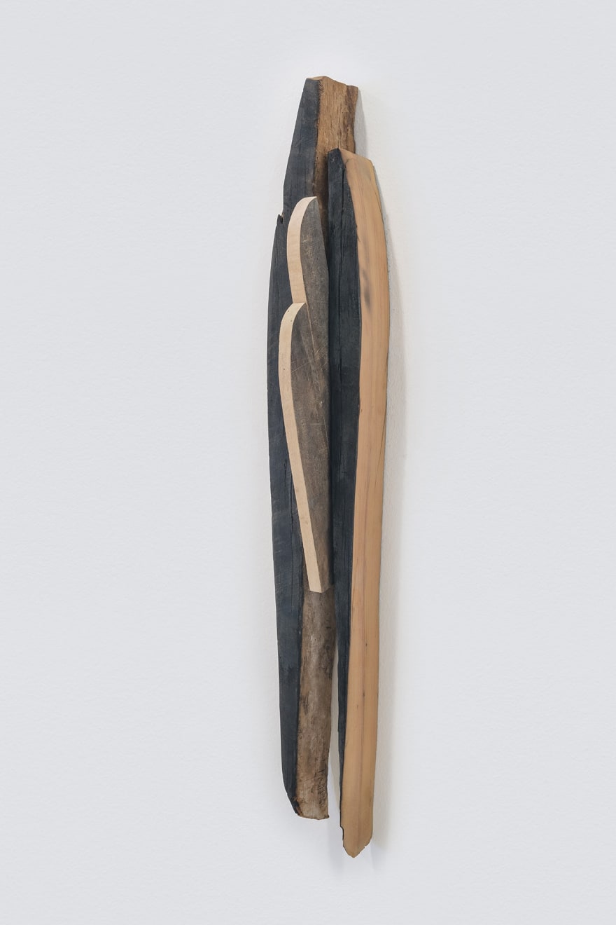 Afonso Tostes, Sem título | Untitled, 2020