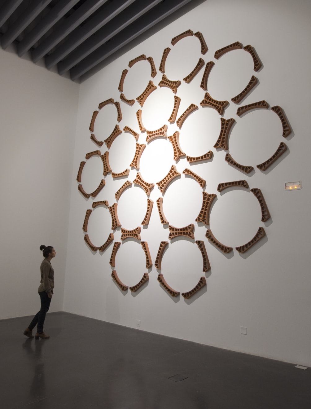 Héctor Zamora, Revoltón, 2012