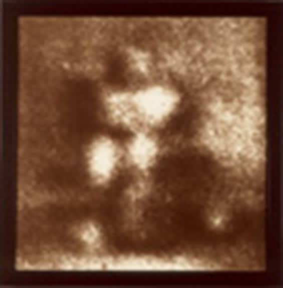 Allan McCollum, ¨Perpetual Photo LPP 236¨, 1982/90