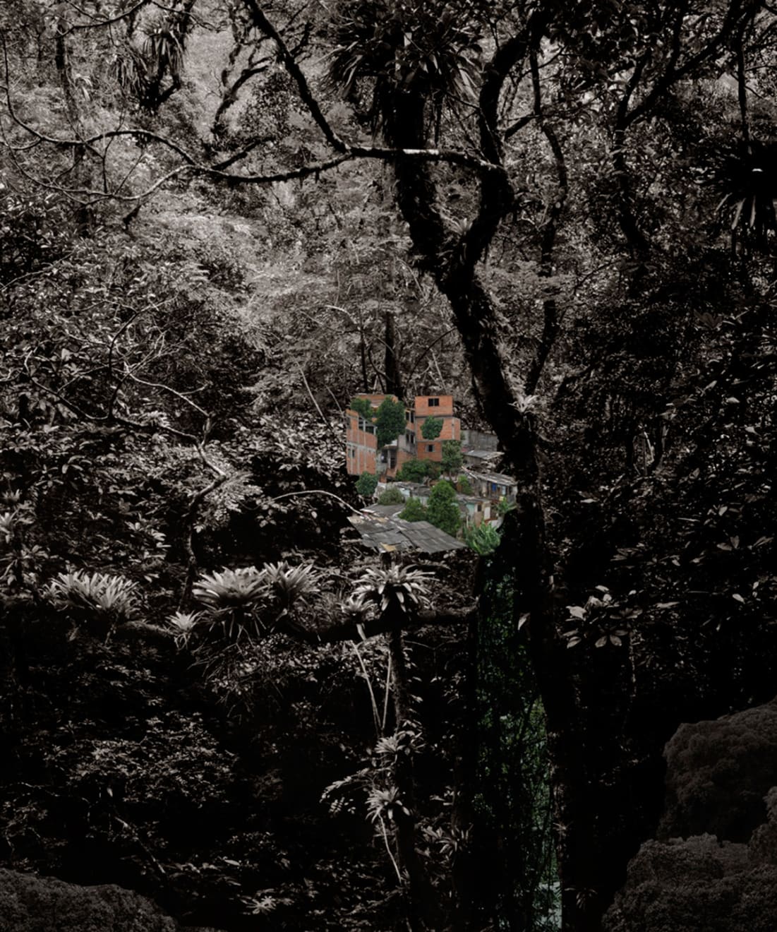 Caio Reisewitz, 