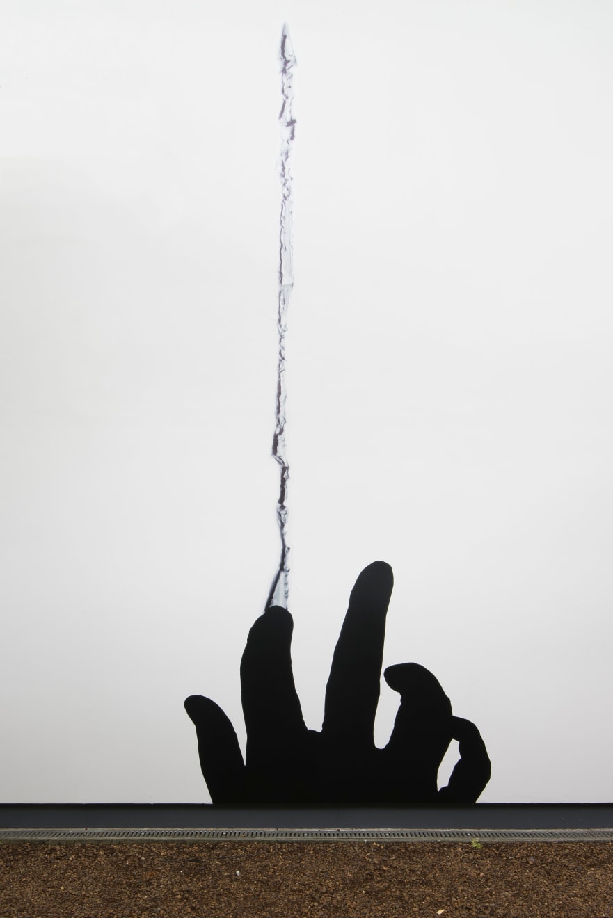 Regina Silveira, “Dividing Line”, 2019