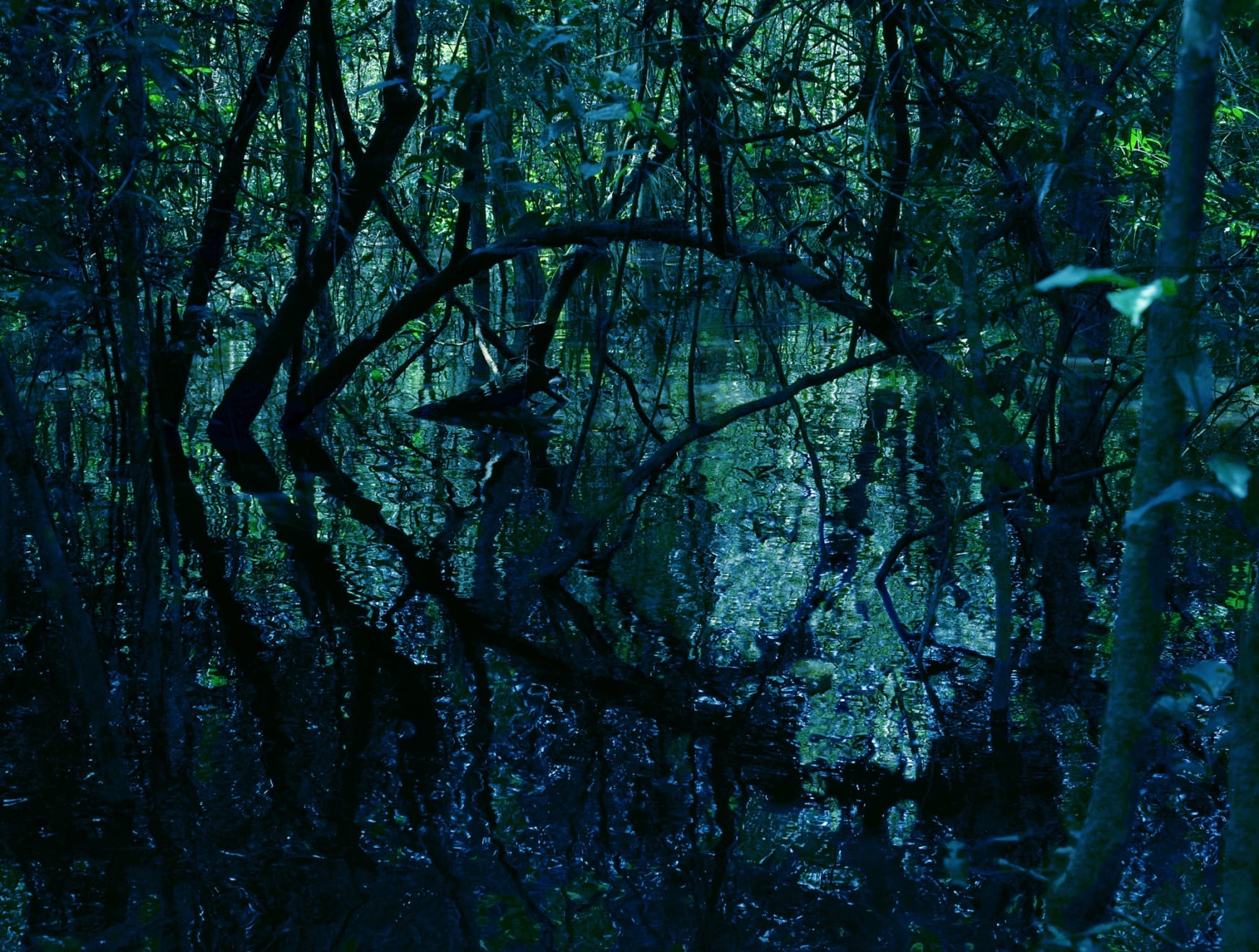 Caio Reisewitz, Arapujá, 2018