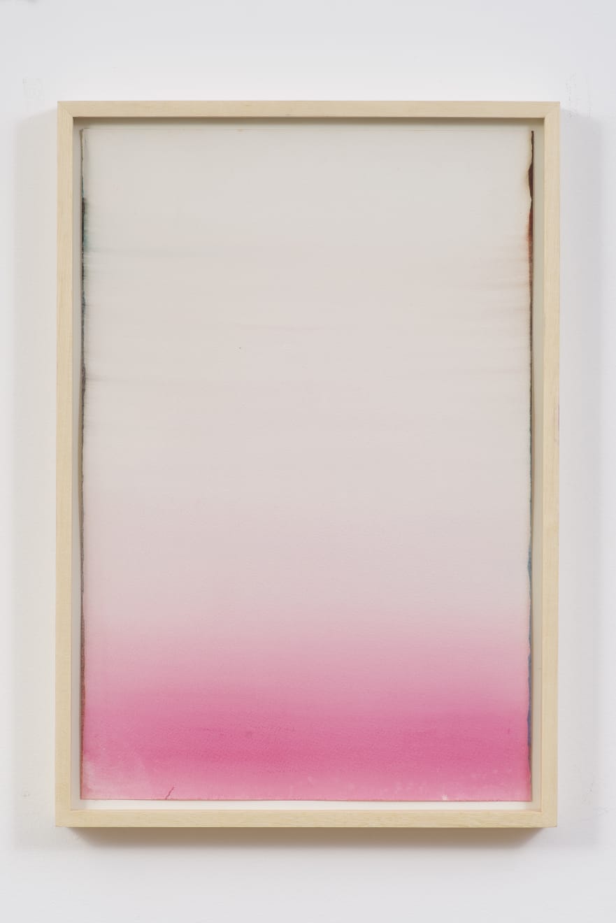 Tiago Tebet, Rollex O.G. Kush, 2013