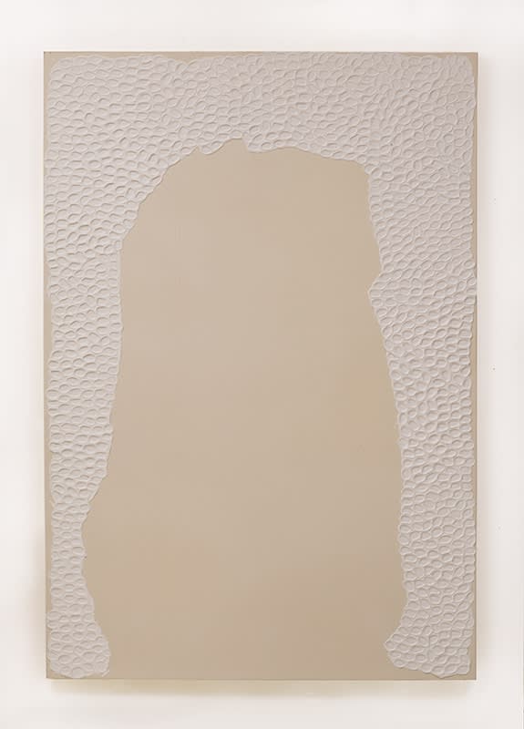Tiago Tebet, SantinhaNaoÉSantista, 2017