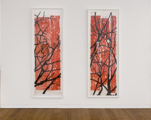 Afonso Tostes, Sem título | Untitled, 2012