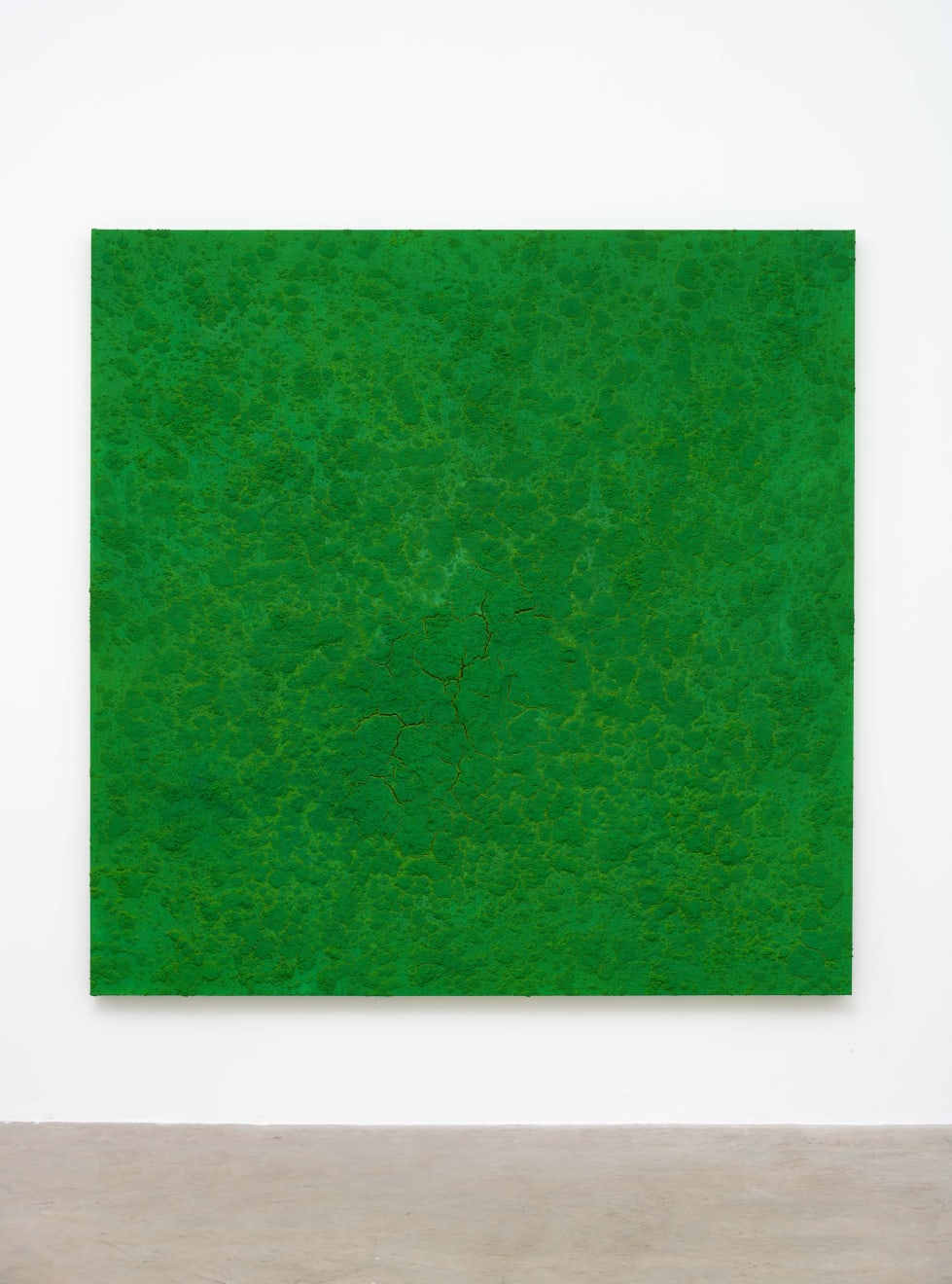 Bosco Sodi, Sem título | Untitled, 2024