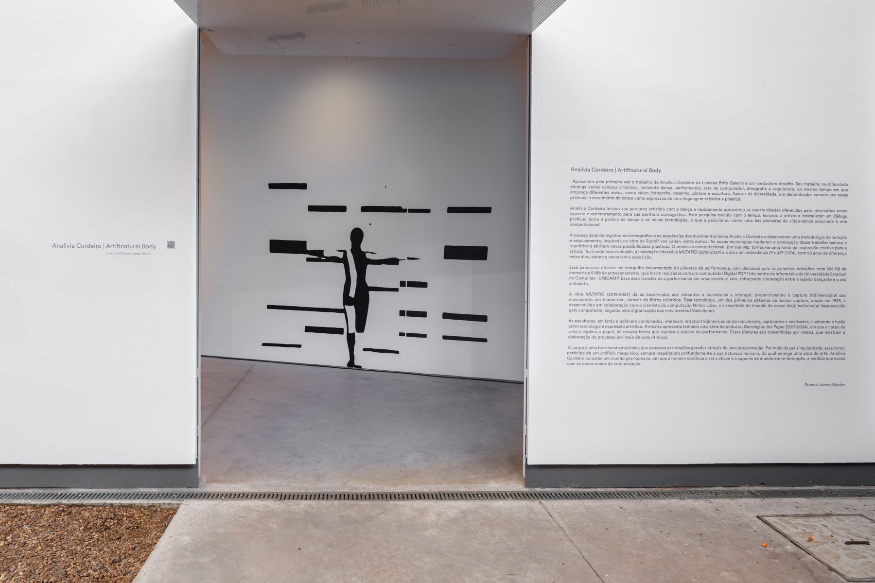 Analivia Cordeiro, Vista da exposição ¨Artifinatural Body¨ , 2024