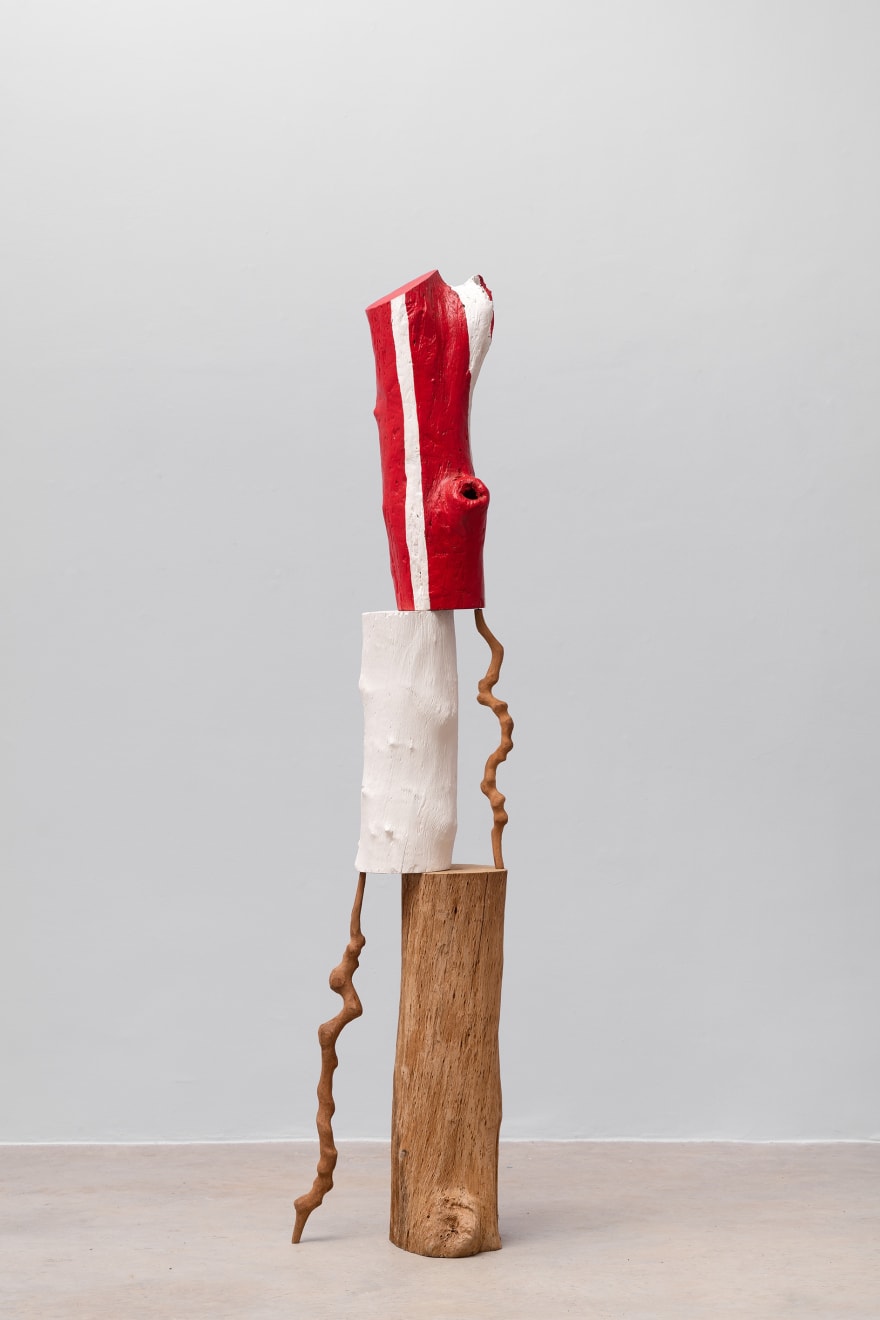 Afonso Tostes, Sem título | Untitled, 2023