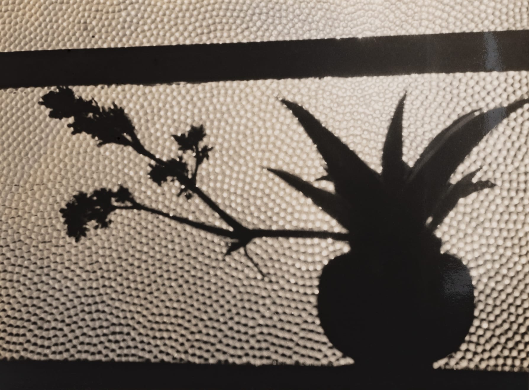 Gertrudes Altschul, Sem título, c.1950