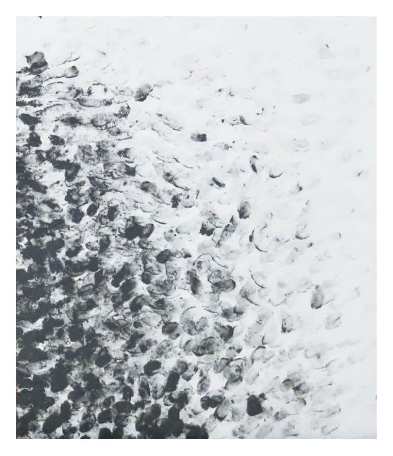 Tiago Tebet, Grey Crystal, 2015