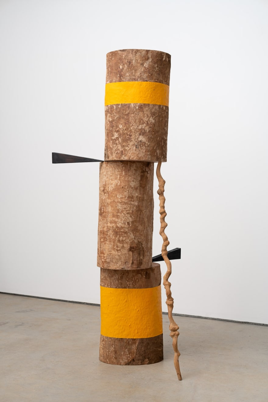 Afonso Tostes, Sem título | Untitled, 2023