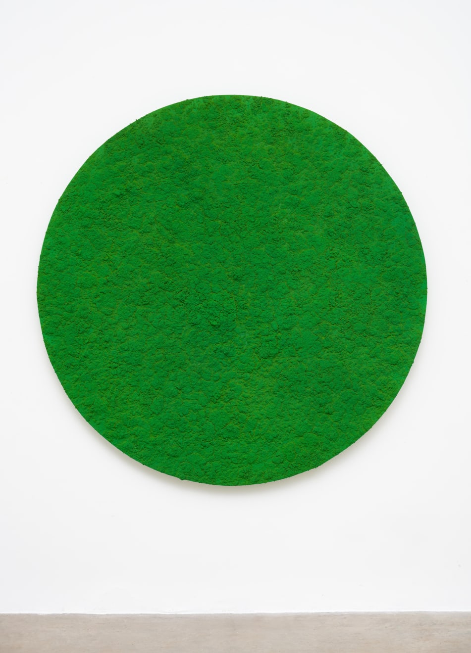 Bosco Sodi, Sem título | Untitled, 2024