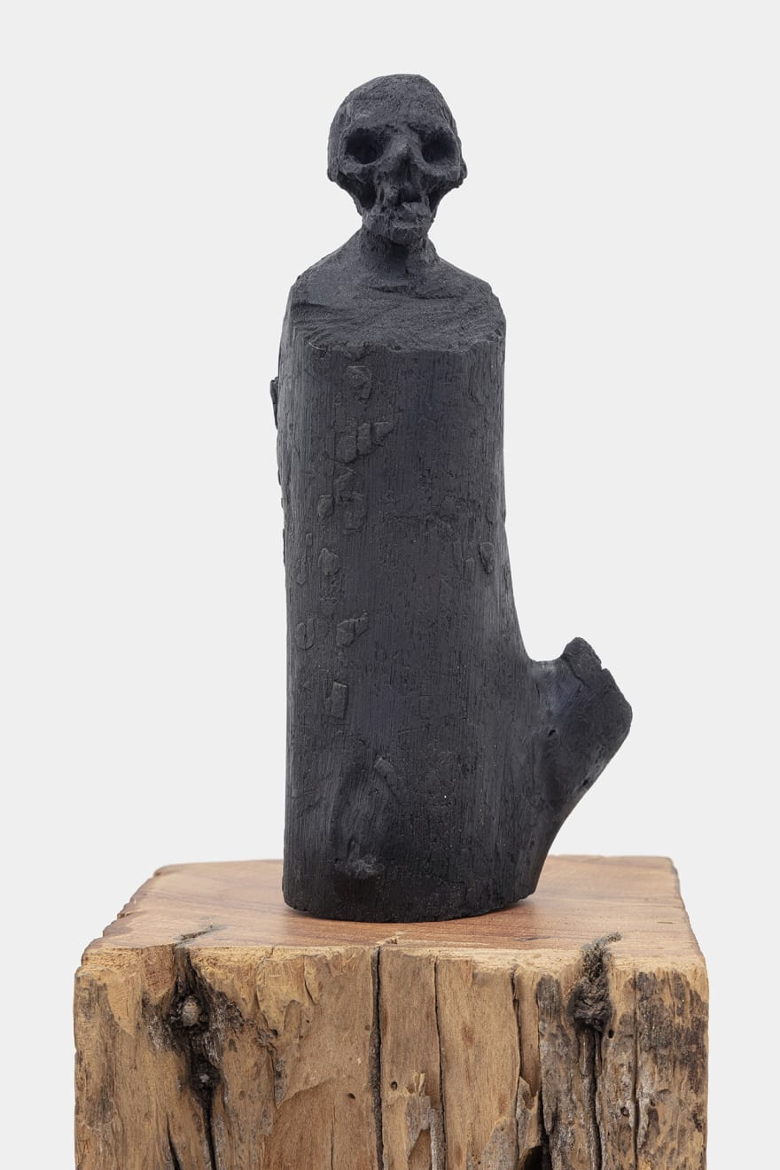 Afonso Tostes, Sem título | Untitled, 2021