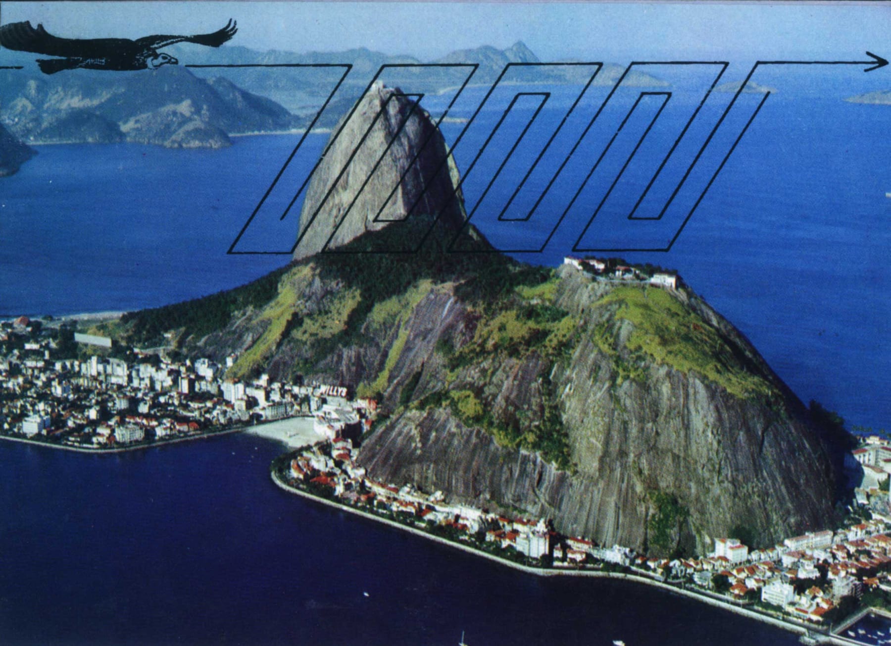 Regina Silveira, Brazil Today, Brazilian Birds, 1977