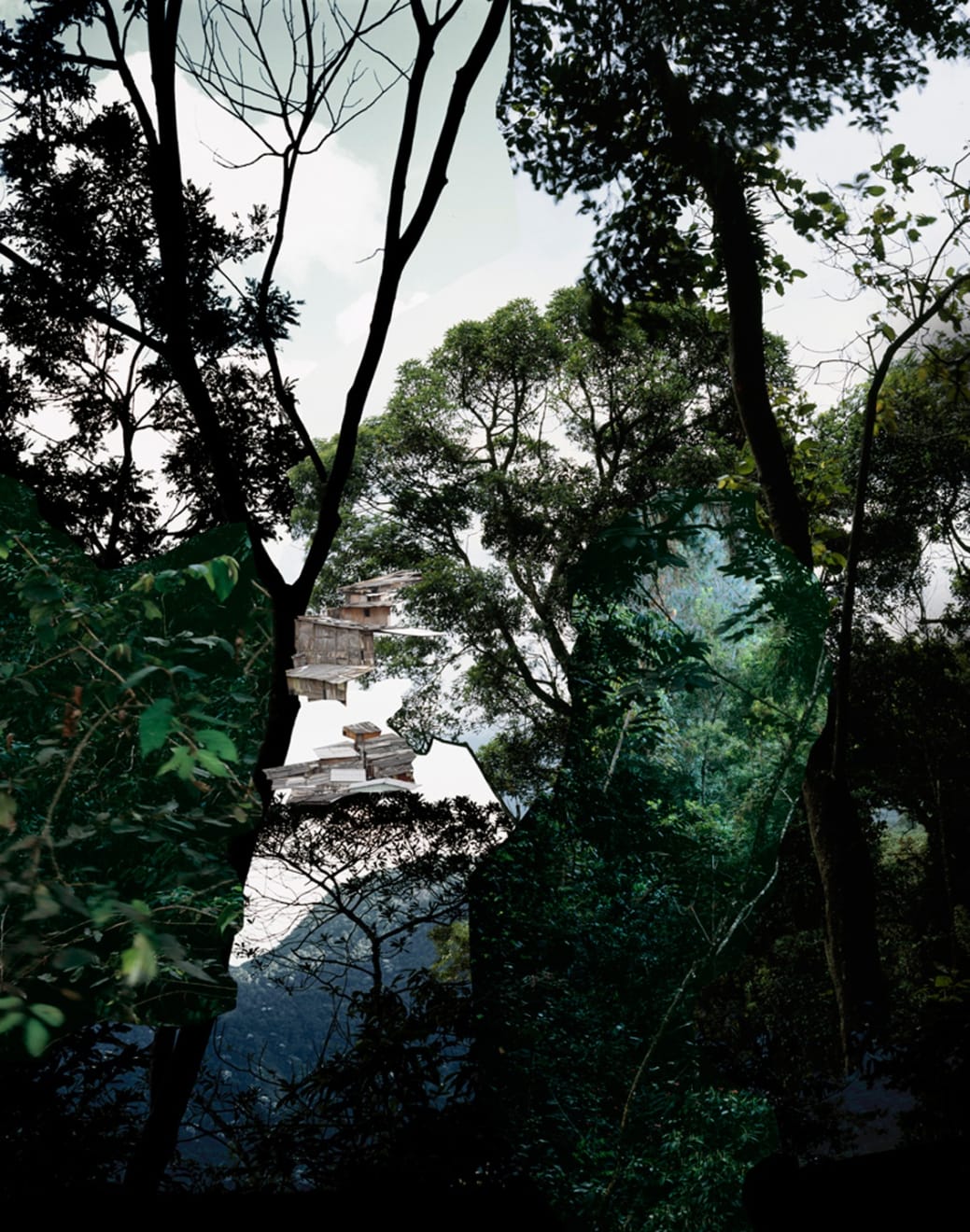 Caio Reisewitz, Boracéia, 2012