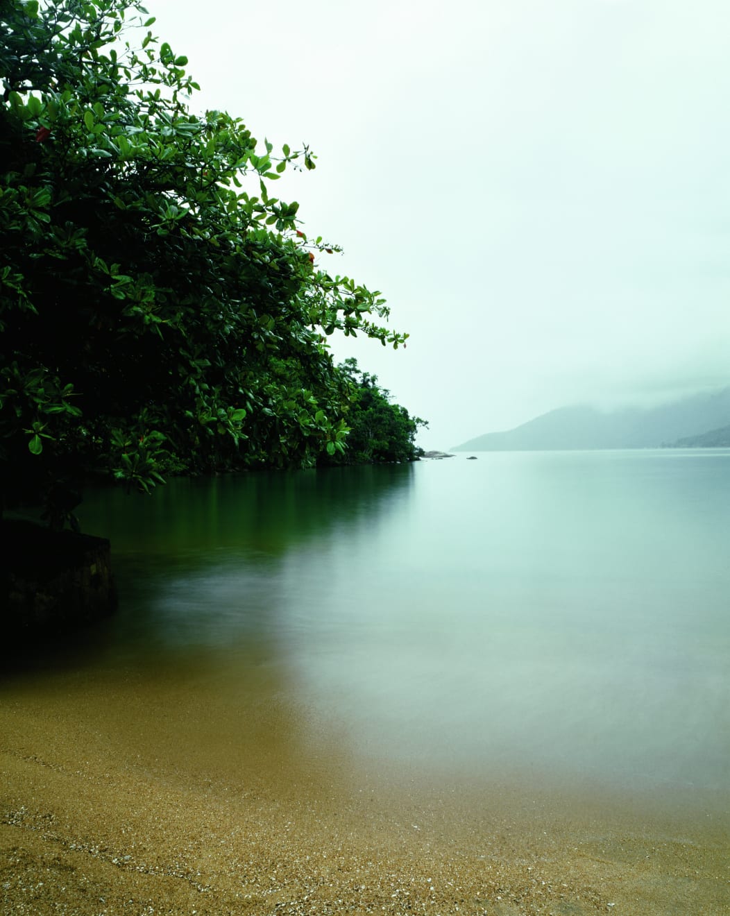 Caio Reisewitz, Mamanguá, 2007