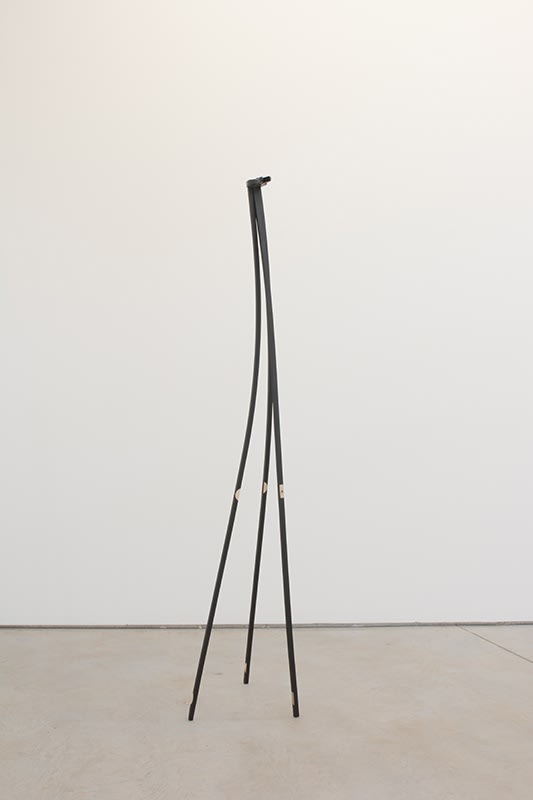 Pablo Lobato, Quadrado (Girafa #7), 2017