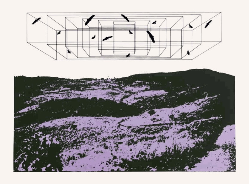 Regina Silveira, Destrutura para Abutres, 1975