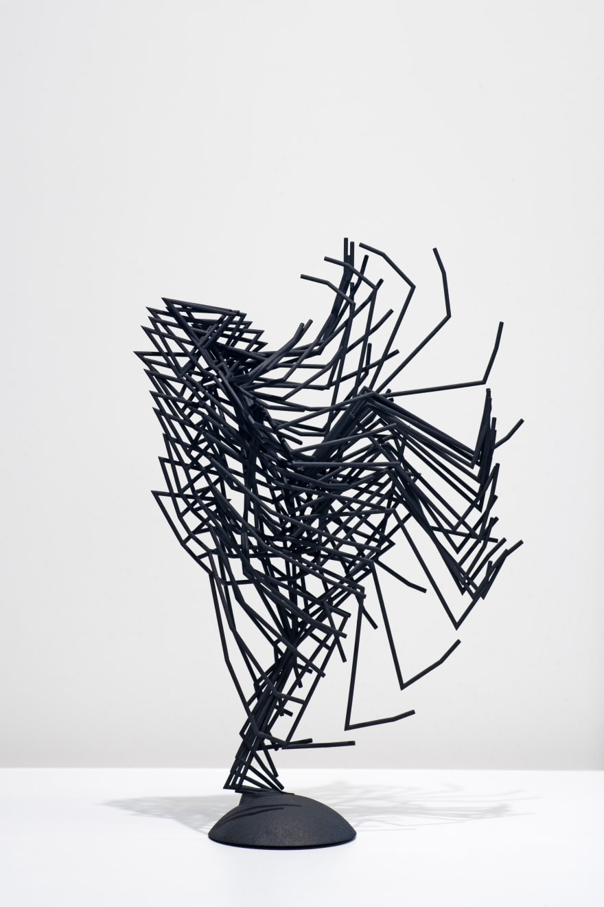 Analivia Cordeiro, “Materialization of Sight I”, 2015