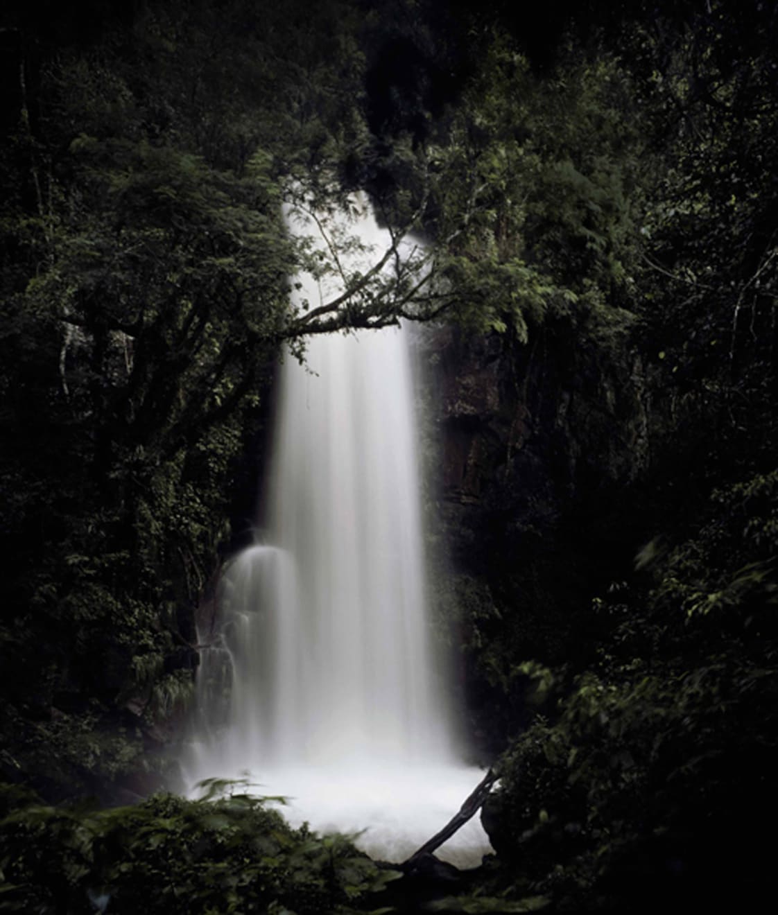 Caio Reisewitz, Tambarahy, 2011