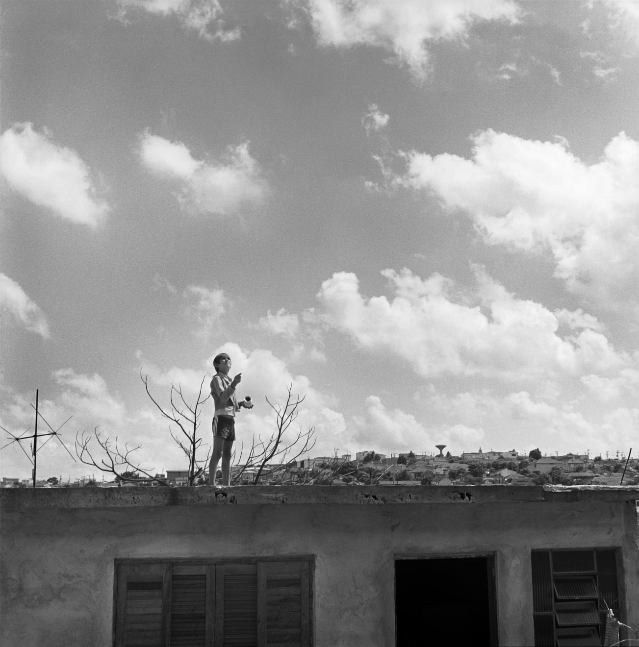 João Luiz Musa, “49 Menino Empinando Pipa”, 1978