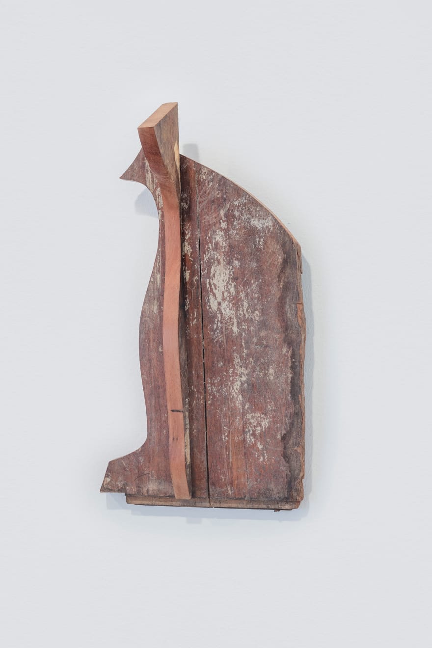 Afonso Tostes, Sem título | Untitled, 2020